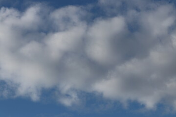 A soft, fluffy white cloud floats gently in the sky