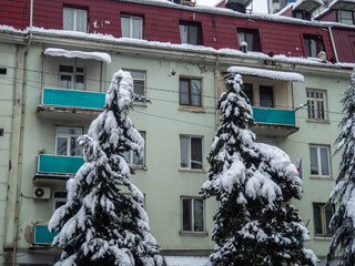 Snow-covered streets of the city on the Black Sea coast. Snowdrifts on the streets of Batumi. Difficult situation. Unexpected frost in the south.