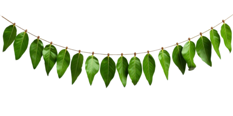 Leafy Garland: A simple yet elegant garland made of vibrant green leaves strung on a delicate twine, bringing a touch of nature indoors, perfect for festive decorations or symbolic displays.