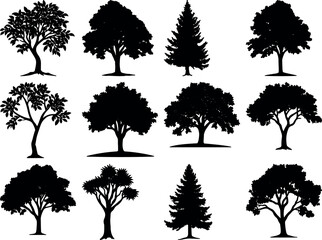Tree bundle design vectors