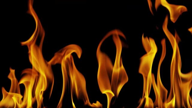 Burning flames from start to finish with ProRes codec Isolated by Alpha channel, a close-up of a simulated fiery fire burning with the colors of real flames