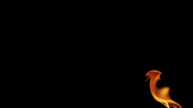 Burning flames from start to finish with ProRes codec Isolated by Alpha channel, a close-up of a simulated fiery fire burning with the colors of real flames