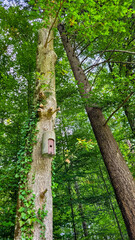 Concrete birdhouse, on a high tree in the summer green forest.