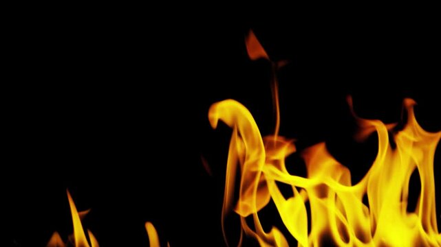 Burning flames from start to finish with ProRes codec Isolated by Alpha channel, a close-up of a simulated fiery fire burning with the colors of real flames