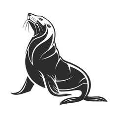 sea lion vector illustration