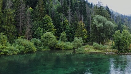 Beautiful view of the lake with small ripples of waves located among a spruce forest with shrubs...