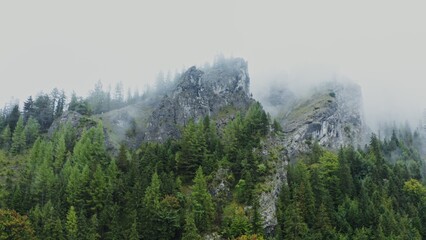 Drone horizontal panning view of rocky mountains covered with spruce forest and covered with thick white clouds, bird's eye view video footage