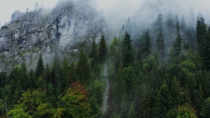 Obraz premium A narrow mountain river flowing from the steep rocky mountains among the spruce forest, aerial video from a drone on a summer day