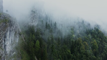 A narrow mountain river flows along a steep cliff of rocky mountains overgrown with dense forest and covered with white clouds, bird's eye view video from a drone