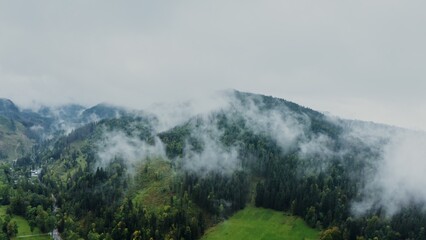 A bird's eye view video from a drone, a view of green mountain valley, overgrown with a dense spruce forest. Settlement at the foot of the mountains, tops of which are covered with thick white clouds