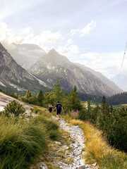 Montains in switzerland, grindelwald