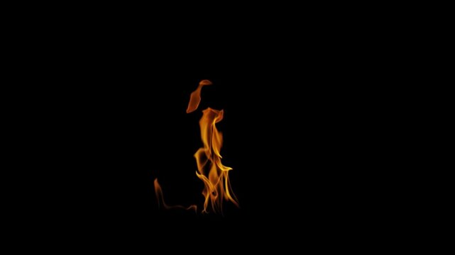 Burning flames from start to finish with ProRes codec Isolated by Alpha channel, a close-up of a simulated fiery fire burning with the colors of real flames