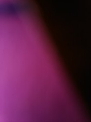 Abstract purple background with different elements