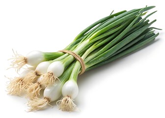 Fresh Scallions Bunch: A vibrant bundle of fresh scallions, tied with a simple band, showcases the crisp green stalks and clean bulbs of the popular cooking ingredient