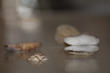 clouds and landscapes at rock formation of Kura Tawhiti © user
