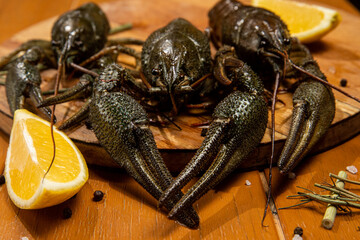 crayfish
