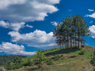 View of Melbourne city from the Shrine of Remembrance