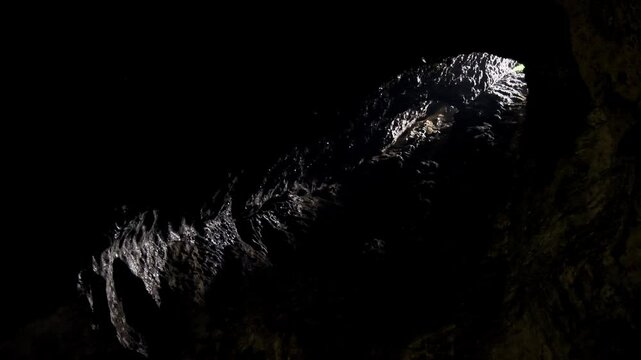 Gomantong Caves in Borneo, Malaysia, largest limestone outcrop in Lower Kinabatangan, 2 million colony of the wrinkle-lipped free-tailed bat (Chaerephon plicatus) and billions dung-hung cockroaches.