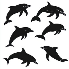 Fototapeta premium Set of Dolphin Silhouettes: Elegant Black Forms of Aquatic Mammals in Dynamic Leap