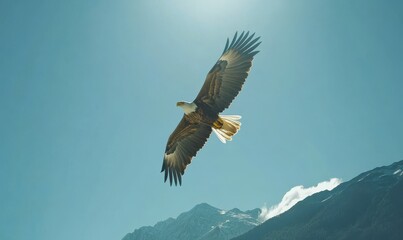 Obraz premium Majestic eagle soaring through a clear blue sky with mountains in the background, sunlight highlighting the feathers for a dynamic wildlife moment