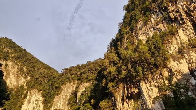 Deer Cave - Gua Payau or Gua Rusa in Sarawak on Borneo, Malaysia, Gunung Mulu National Park, sedimentary rocks known as limestone, nesting swifts and bats living in. Every evening millions bat exodus.