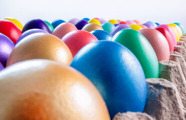 colorful eggs in egg cartons, Easter