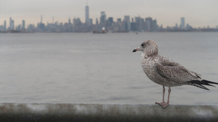 NYC, NUEVA YORK, VIAJES GRANDES CIUDADES