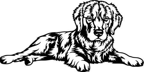 Golden Retriever Dog Breed - Pet Vector Cut file, Dog Silhouette Stencil - Cricut file