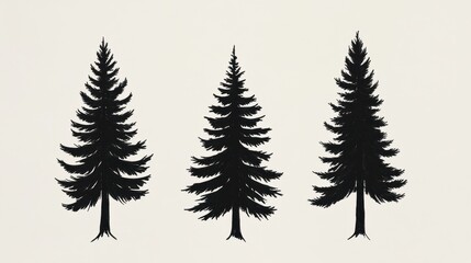 Obraz premium Three tall evergreen trees silhouetted against a light background, showcasing their distinct shapes and textures.