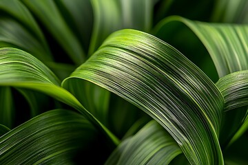 Detailed close up of leafs veins focusing on fine textures and subtle green hues under soft natural lighting