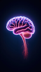 Fototapeta premium Medical illustration of human brain with highlighted neural pathways next to a grey gradient wall, symbolizing Artificial General Intelligence (AGI).