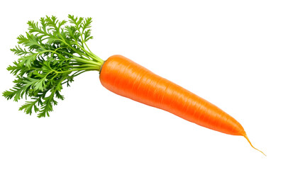 Photo - Fresh Orange Carrot with Green Leaves on Black Background