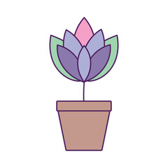 Vector image of a potted plant icon with a white background