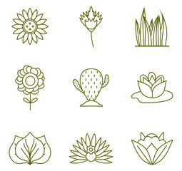 Set of vector icons of plants with white background
