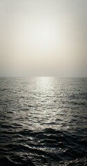 The light of the setting sun is reflected in the sea ripples. Small waves, you can not see the shore. Sea or ocean water. Vertical video. 4k video, red komodo
