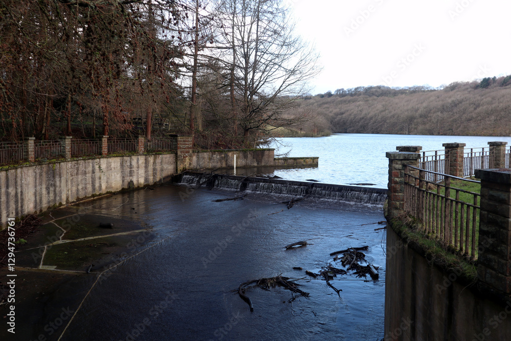 Wall mural Dam Overflow II