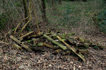 Pile of Wood