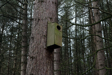 Birdhouse on Tree