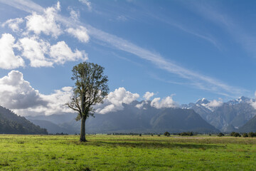 Single tree, mountains and blue sky with clouds