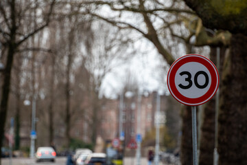 Speed Limit 30 Sign on a Tree-Lined Urban Street in Amsterdam
