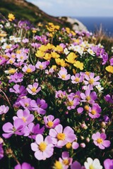Fototapeta premium Beautiful colorful wild flowers in Spring.