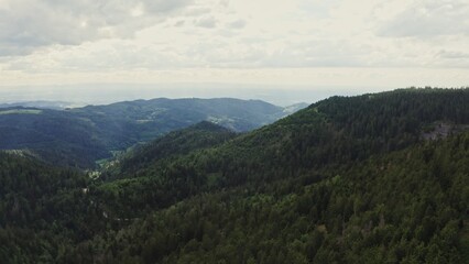 Horizontal panning from a drone, scenic view of a green hilly valley overgrown with a dense spruce forest in the rays of sunlight