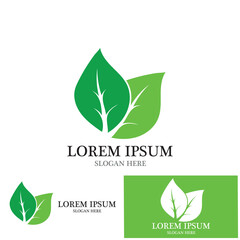 leaf nature ecology icon vector illustration template design