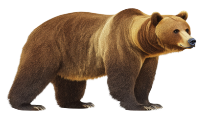 Illustrative grizzly bear in natural environment and behavior