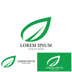 leaf nature ecology icon vector illustration template design