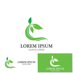 leaf nature ecology icon vector illustration template design