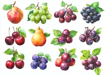 Gorgeous collection of hand-drawn watercolor fruits and berries, including pear, apple, cherry, grape, and plum.