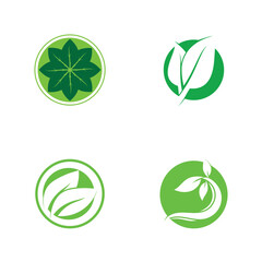 leaf nature ecology icon vector illustration template design