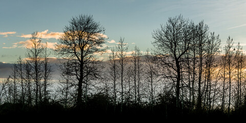 Morning fog and sunset in Tasmania