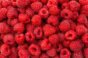 Tasty fresh raspberry as a background.